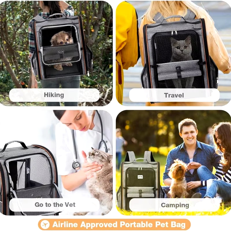 Luxury Expandable Pet Backpack - Stylish & Breathable Carrier for Cats & Small Dogs 🎒🐾