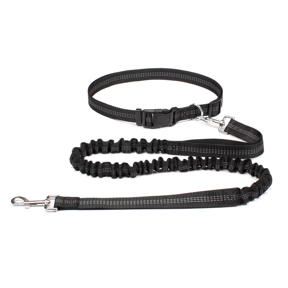 Hands-Free Dog Leash with Adjustable Waist Belt – Perfect for Running, Jogging & Walking 🏃♂️🐕