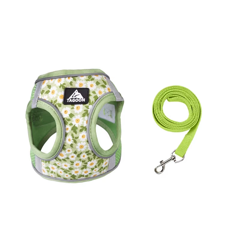 🐾 Breathable Mesh Cat & Dog Harness with Leash – Comfortable & Secure for Small Petsg