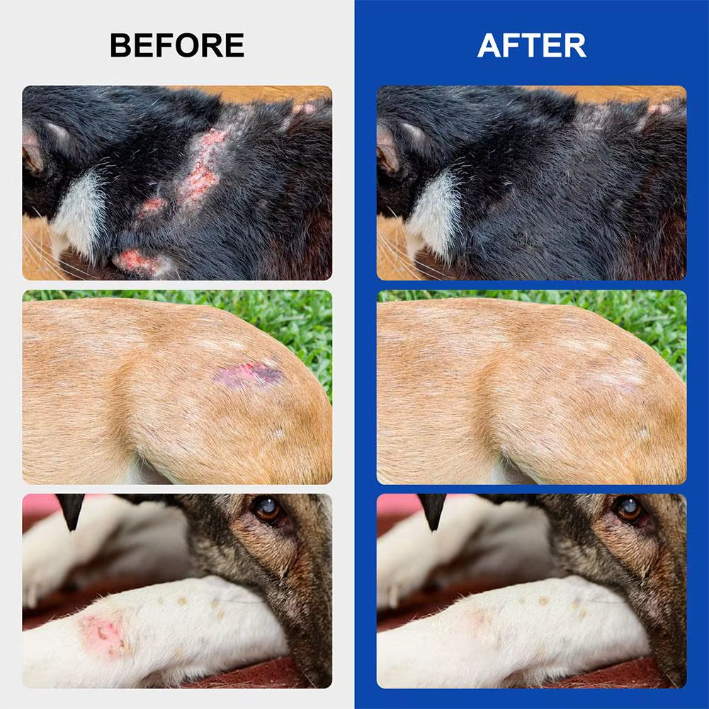 🐾 Pet Wound Spray – Fast-Healing Treatment for Dogs & Cats