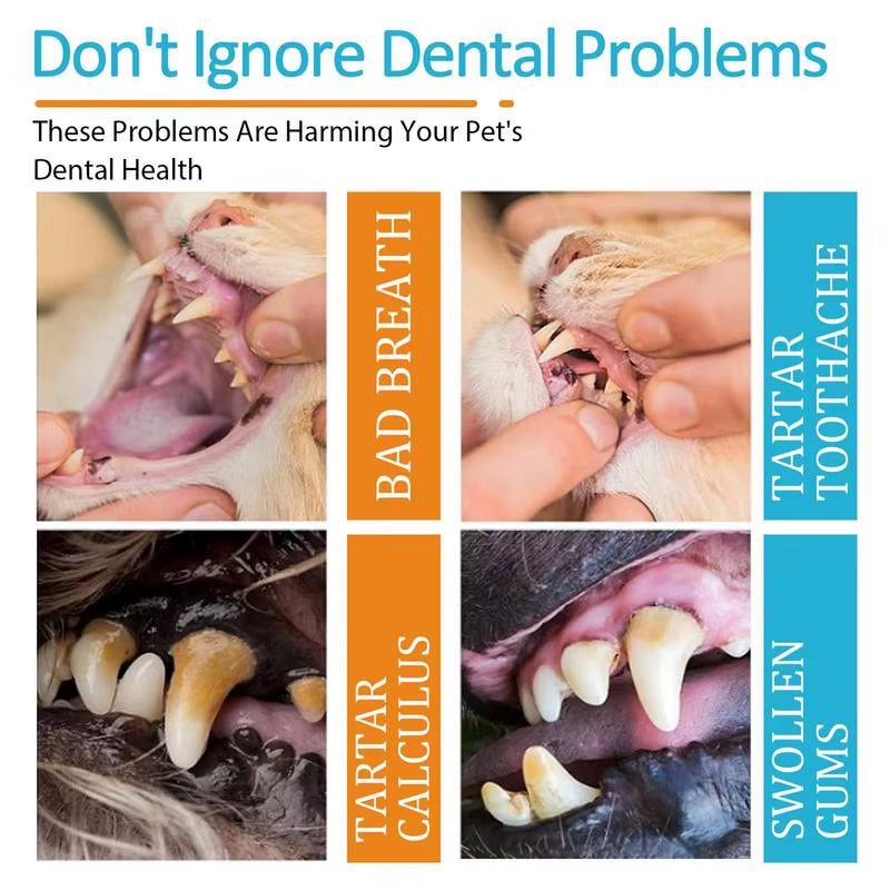 🐾 Pet Teeth Cleaning Finger Wipes – Easy Oral Hygiene for Dogs & Cats