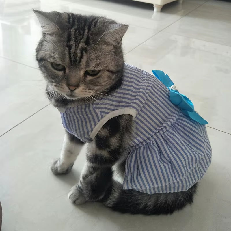 🐾 Elegant Striped & Plaid Cat Dress – Princess Summer Outfit with Bow for Kittens, Puppies & Rabbits