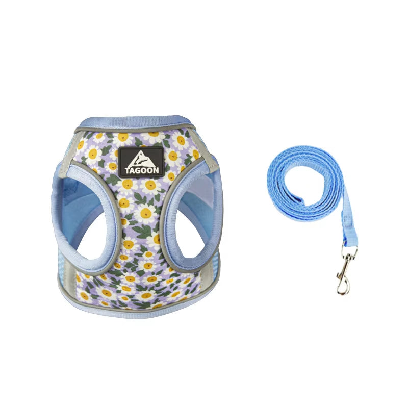 🐾 Breathable Mesh Cat & Dog Harness with Leash – Comfortable & Secure for Small Petsg