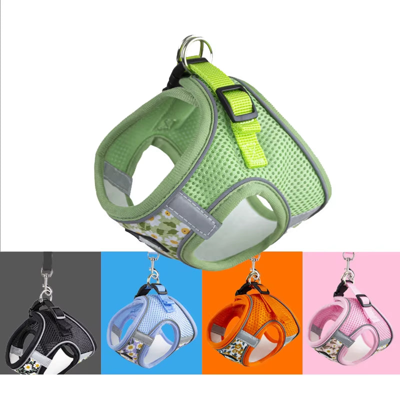 🐾 Breathable Mesh Cat & Dog Harness with Leash – Comfortable & Secure for Small Petsg