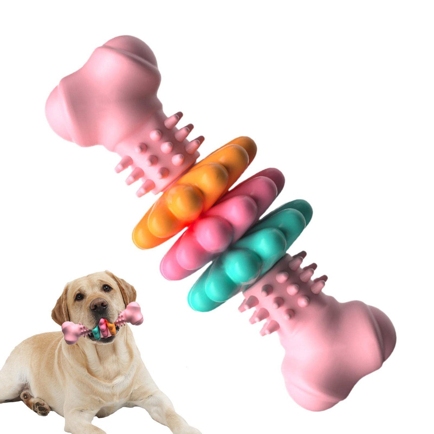 Indestructible TPR Dog Bone Chew Toy – The Ultimate Dental Care & Teething Solution for Your Dog! 🦴🐶