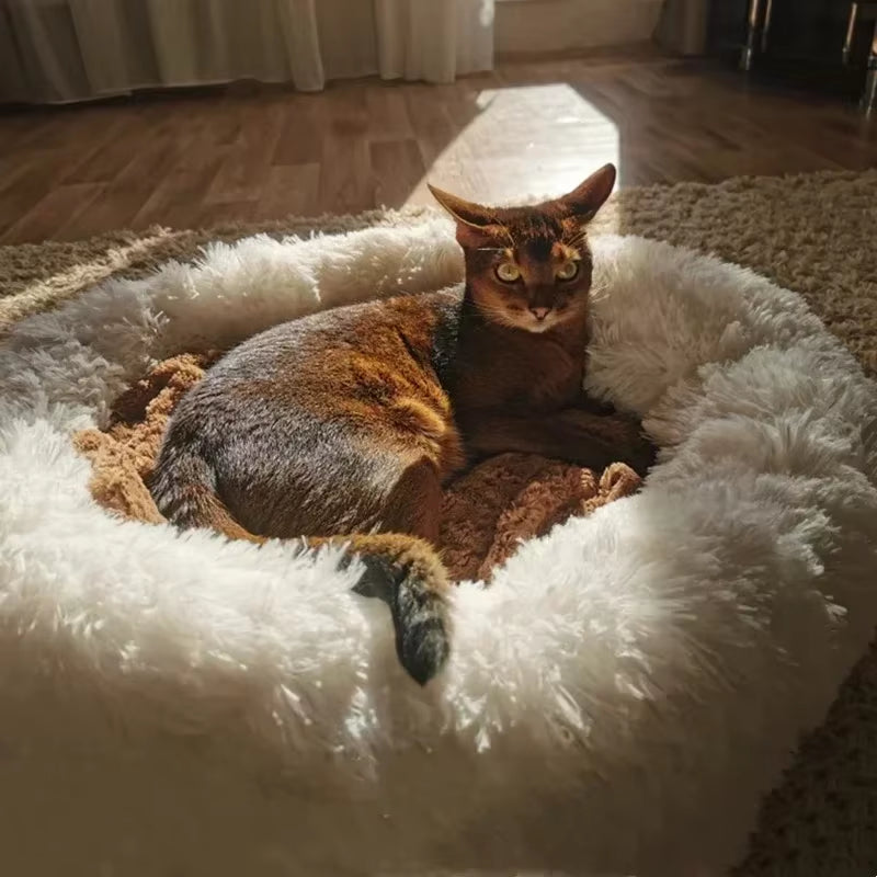 🐾 Luxury Plush Round Dog Bed & Cat Mat – Premium Cushion for Large Dogs & Labradors