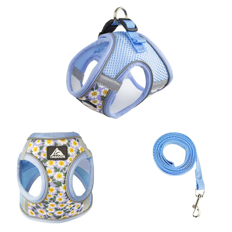 🐾 Breathable Mesh Cat & Dog Harness with Leash – Comfortable & Secure for Small Petsg