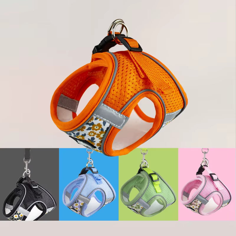 🐾 Breathable Mesh Cat & Dog Harness with Leash – Comfortable & Secure for Small Petsg
