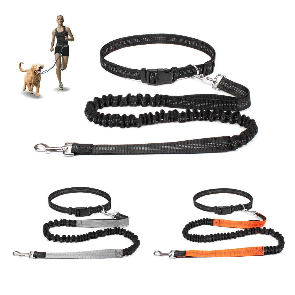 Hands-Free Dog Leash with Adjustable Waist Belt – Perfect for Running, Jogging & Walking 🏃♂️🐕
