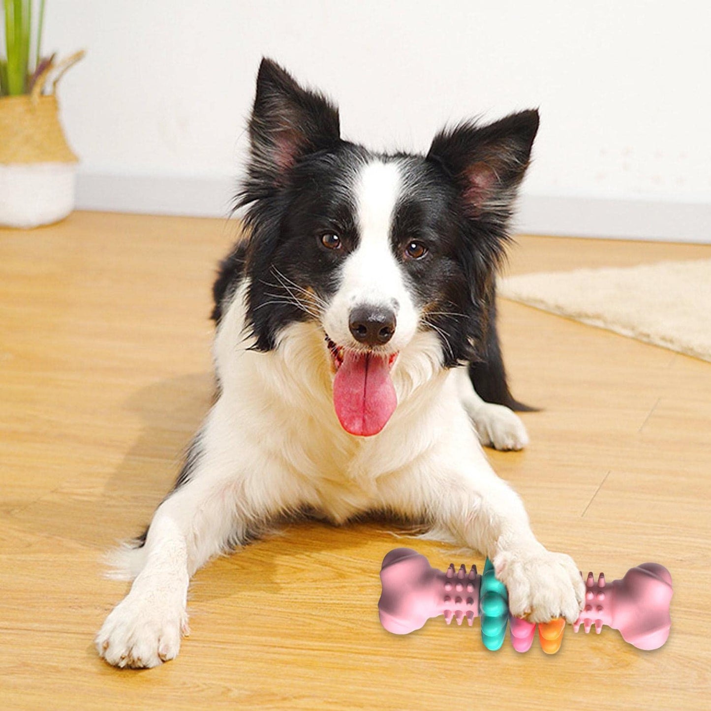 Indestructible TPR Dog Bone Chew Toy – The Ultimate Dental Care & Teething Solution for Your Dog! 🦴🐶