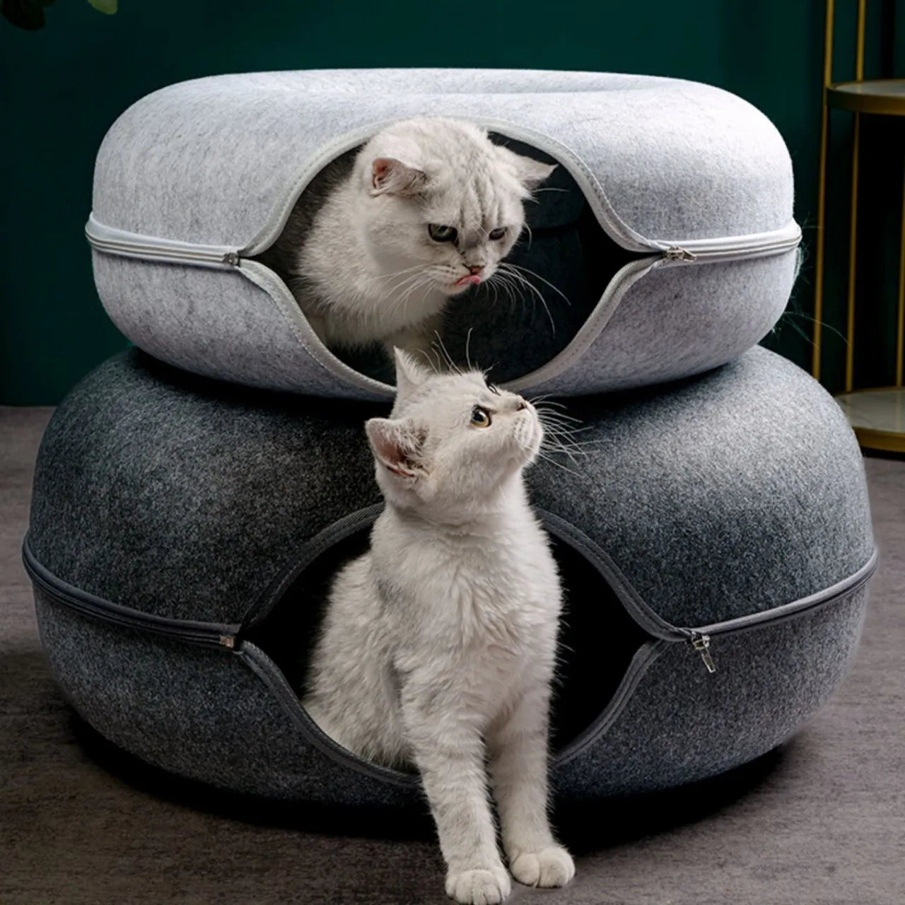 🐾 Interactive Donut Cat Bed with Tunnel – Playful & Cozy Hideout for Cats