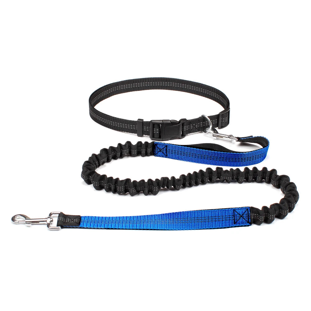 Hands-Free Dog Leash with Adjustable Waist Belt – Perfect for Running, Jogging & Walking 🏃♂️🐕