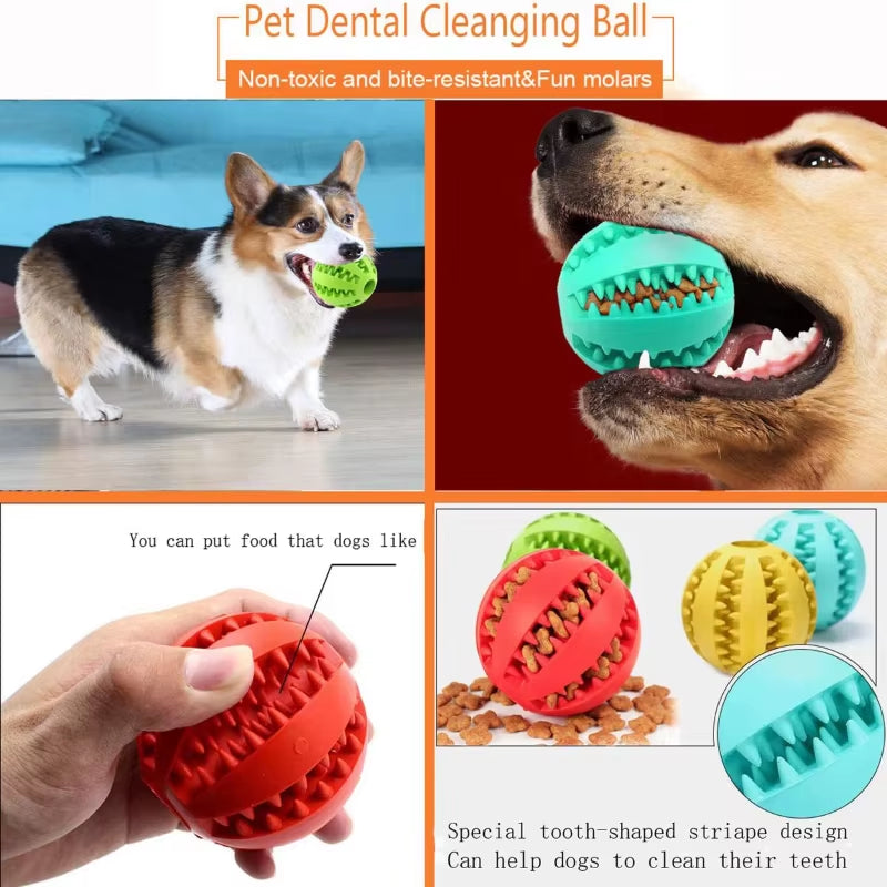 Interactive Rubber Dog Toy Ball – Chew, Treat, & Tooth Cleaning Fun! 🐶🎾