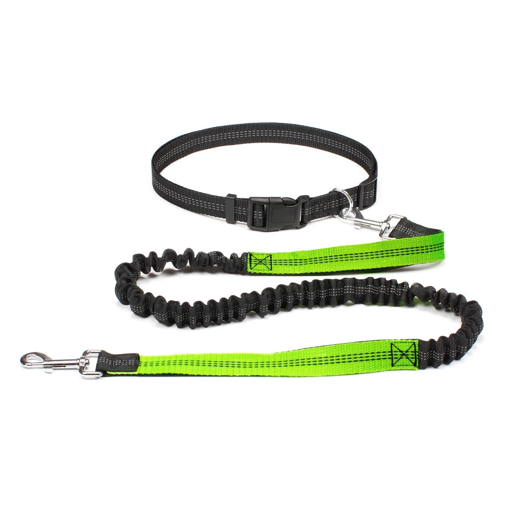 Hands-Free Dog Leash with Adjustable Waist Belt – Perfect for Running, Jogging & Walking 🏃♂️🐕