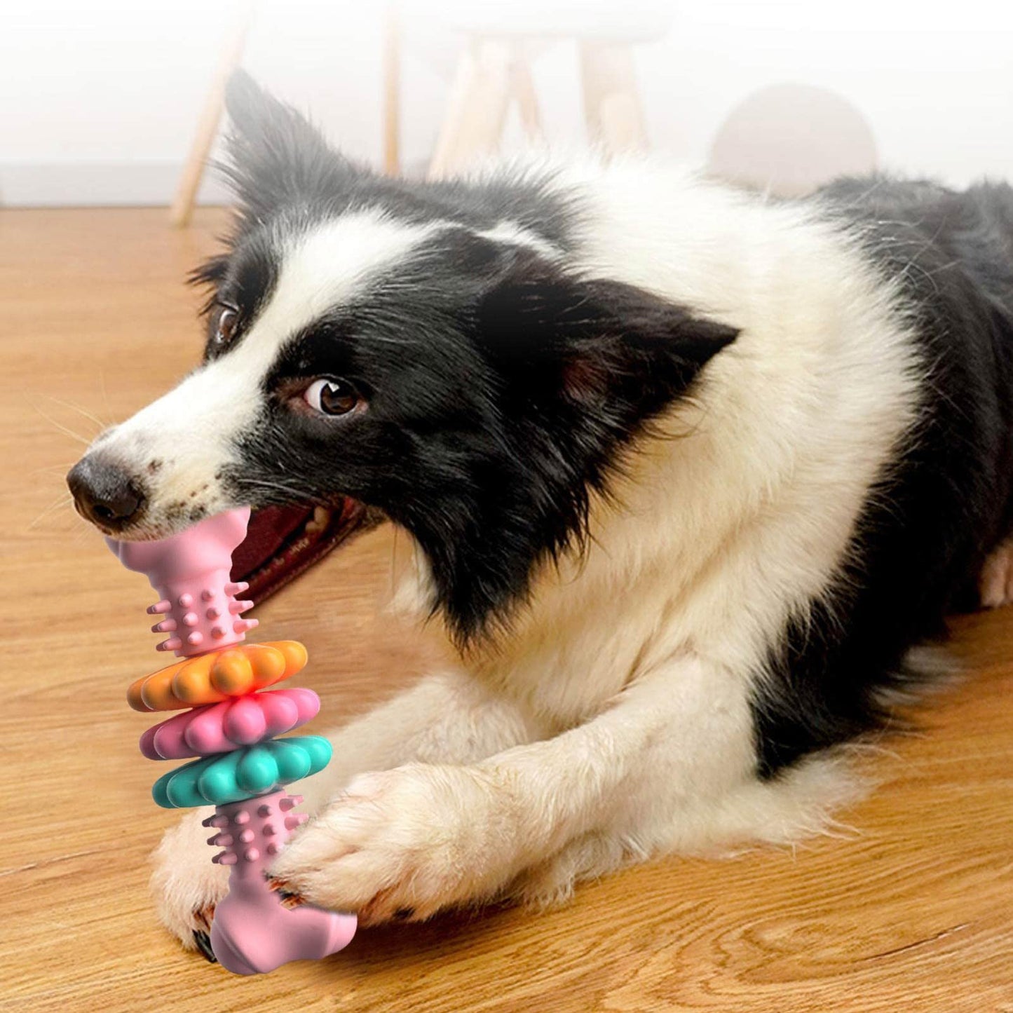 Indestructible TPR Dog Bone Chew Toy – The Ultimate Dental Care & Teething Solution for Your Dog! 🦴🐶