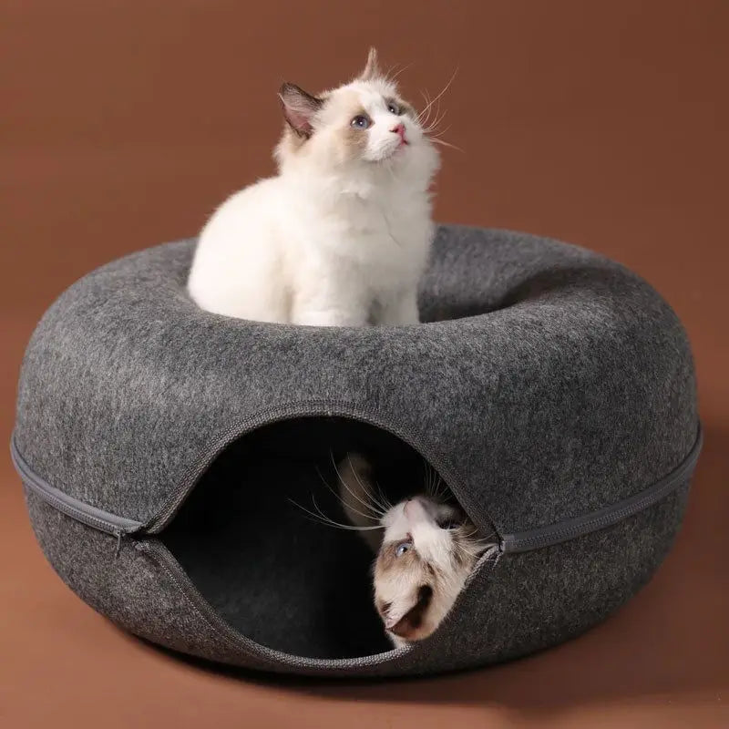 🐾 Interactive Donut Cat Bed with Tunnel – Playful & Cozy Hideout for Cats
