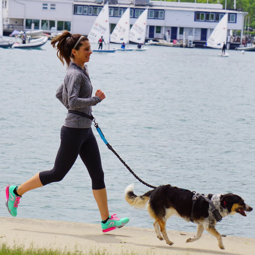 Hands-Free Dog Leash with Adjustable Waist Belt – Perfect for Running, Jogging & Walking 🏃♂️🐕