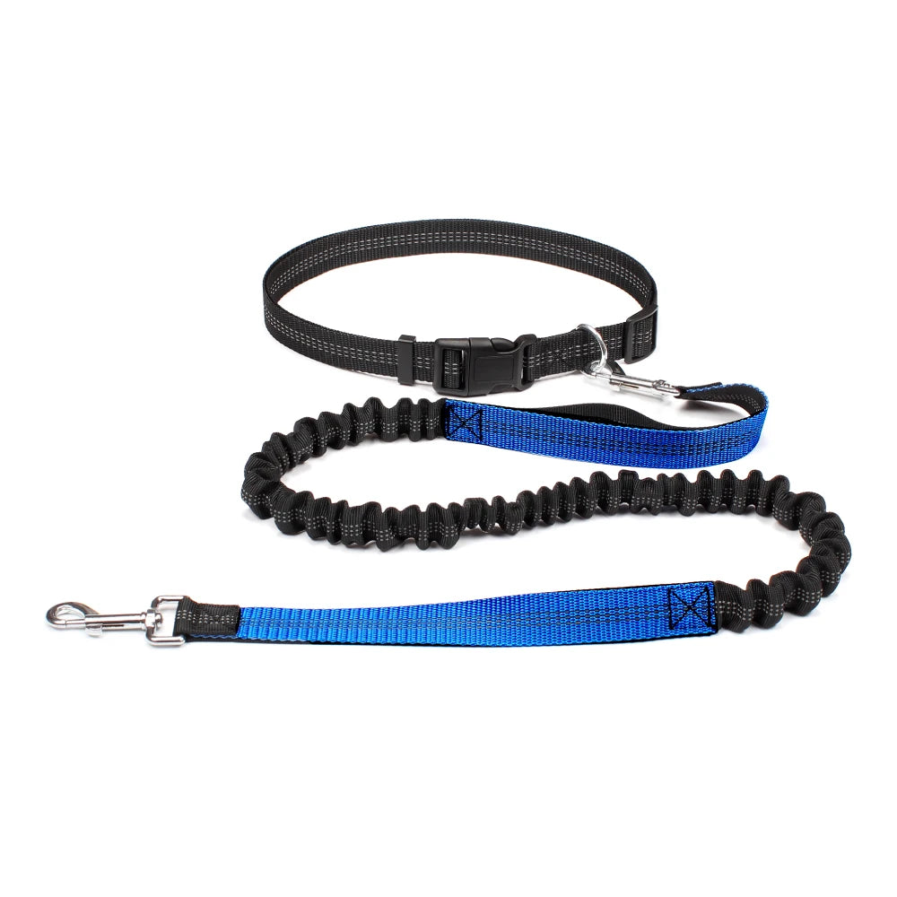 Hands-Free Dog Leash with Adjustable Waist Belt – Perfect for Running, Jogging & Walking 🏃♂️🐕