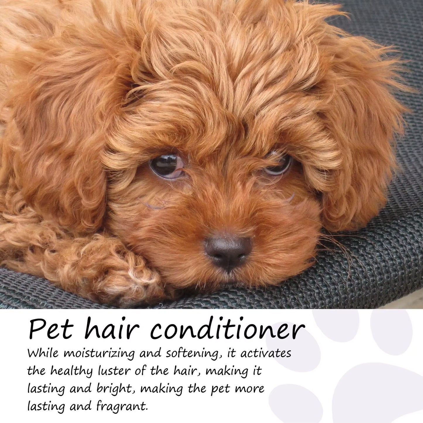🐾 Pet Hair Conditioner – Gentle, Multifunctional Coat Care for Dogs & Cats (50m