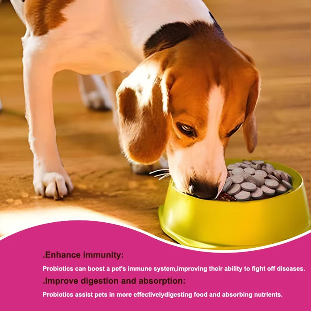 🐾 Digestive Health Probiotic Supplements – 180 Tablets for Dogs & Cats