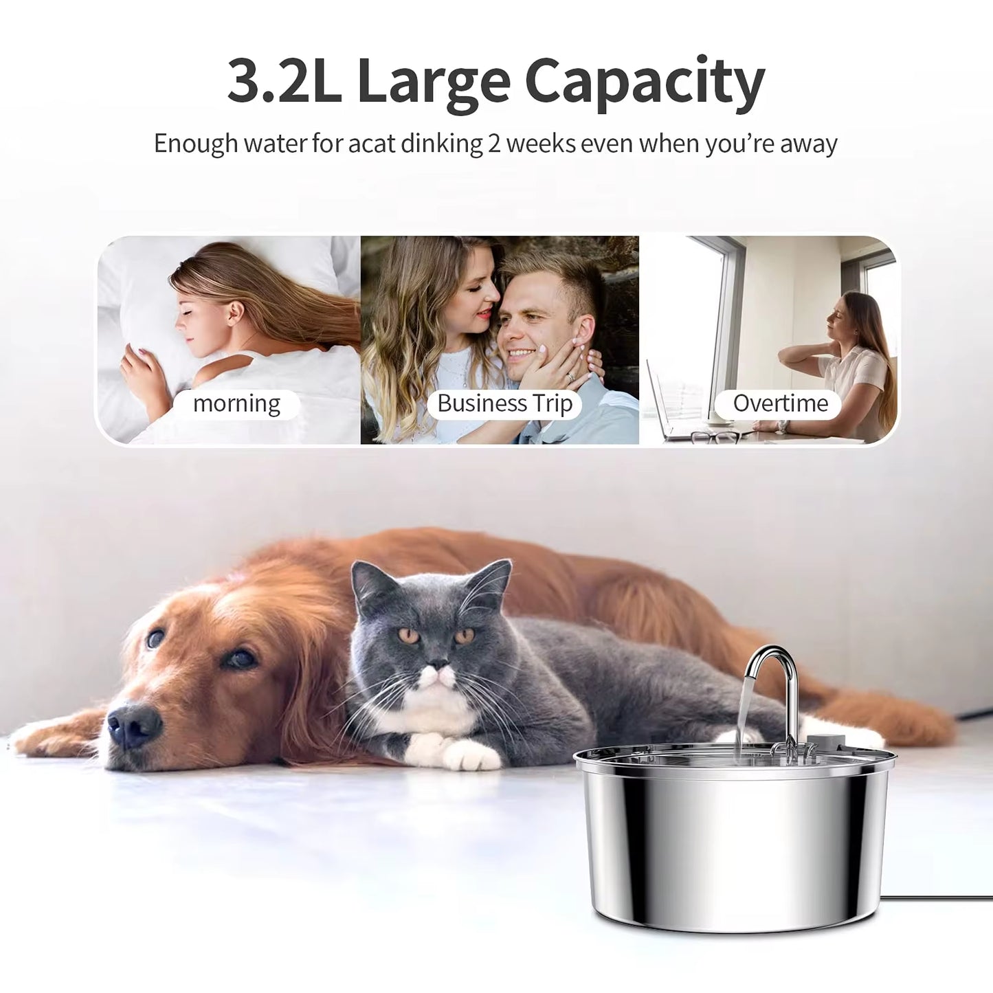 Intelligent Stainless Steel Automatic Cat Water Fountain – 3.2L Ultra-Quiet Hydration System for Cats & Dogs 🐾💦