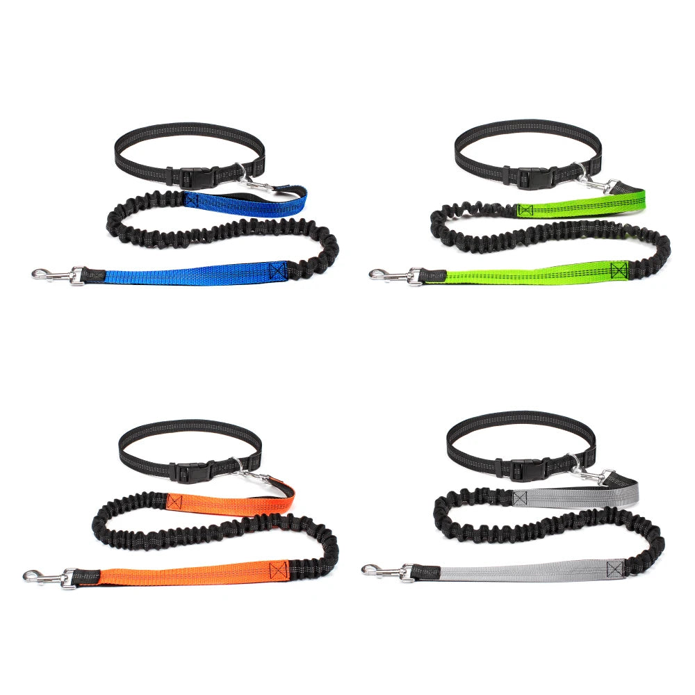 Hands-Free Dog Leash with Adjustable Waist Belt – Perfect for Running, Jogging & Walking 🏃♂️🐕