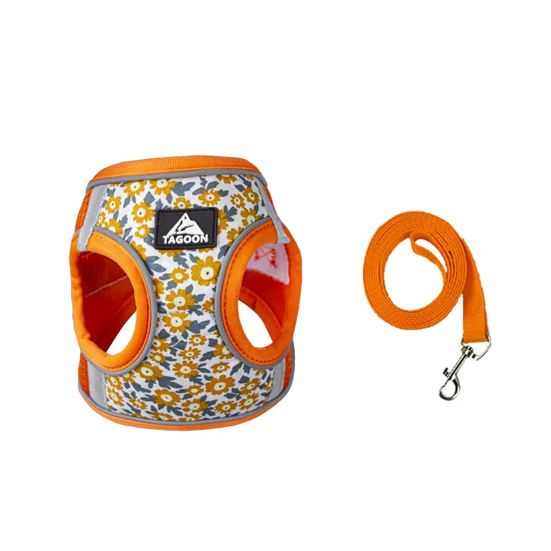 🐾 Breathable Mesh Cat & Dog Harness with Leash – Comfortable & Secure for Small Petsg