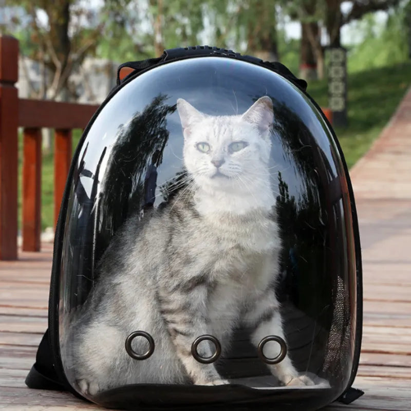 Portable Transparent Space Capsule Cat Carrier & Pet Backpack – The Ultimate Travel Solution for Your Feline Companion! 🚀🐾