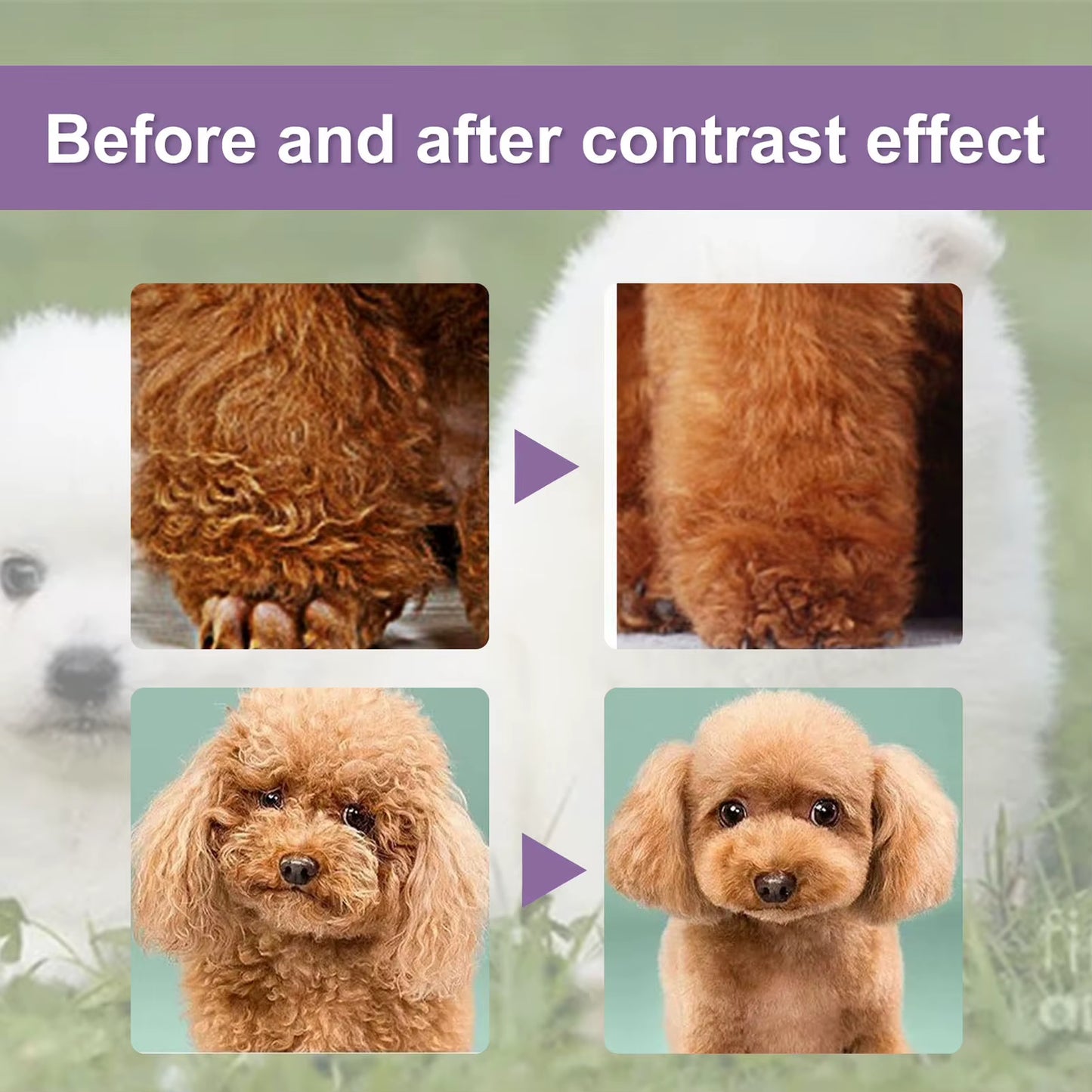 🐾 Pet Hair Conditioner – Gentle, Multifunctional Coat Care for Dogs & Cats (50m