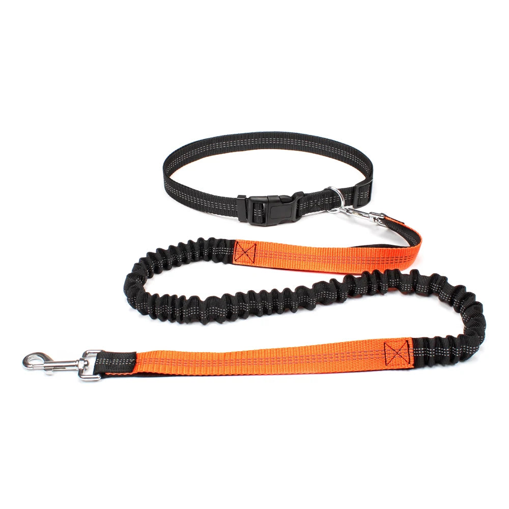 Hands-Free Dog Leash with Adjustable Waist Belt – Perfect for Running, Jogging & Walking 🏃♂️🐕