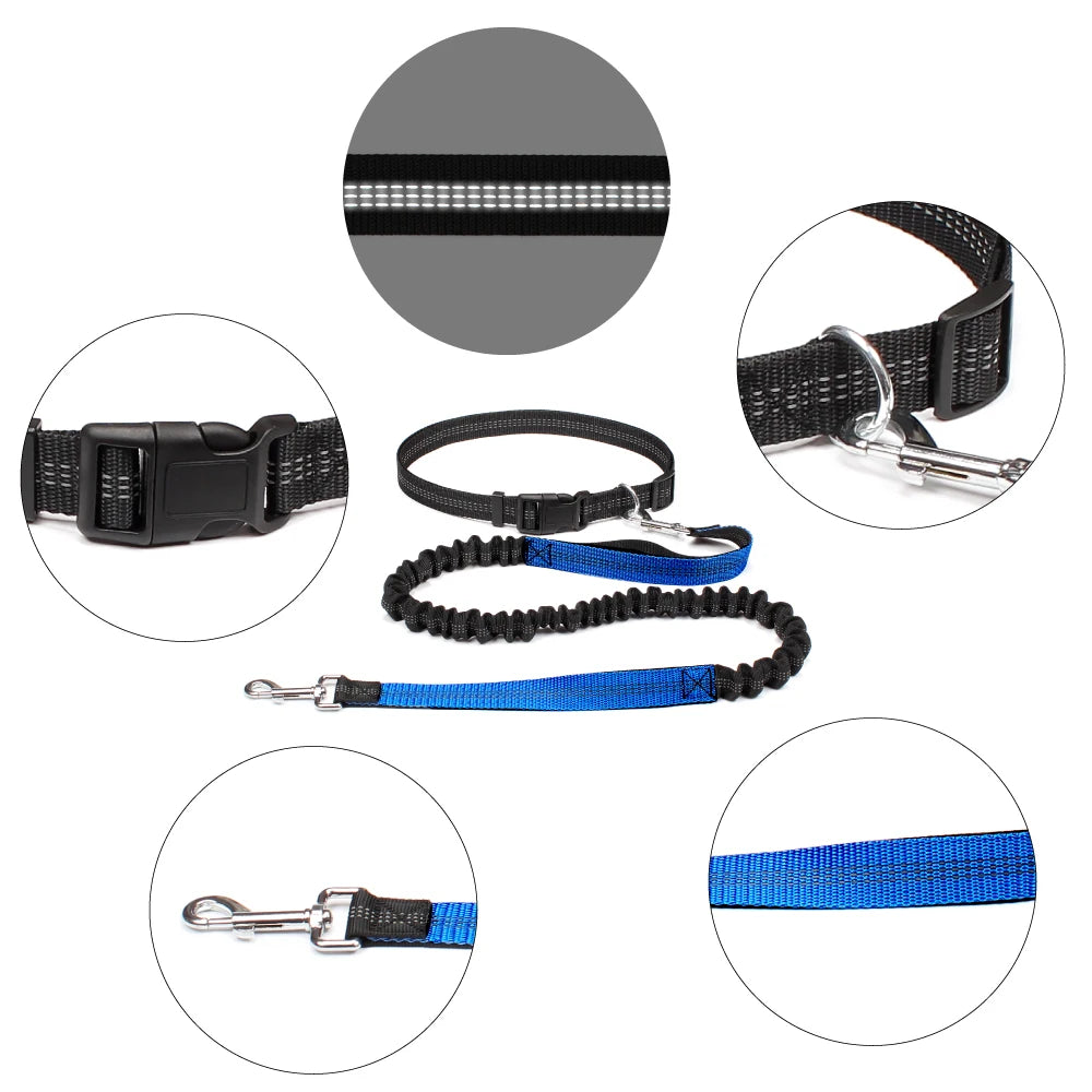 Hands-Free Dog Leash with Adjustable Waist Belt – Perfect for Running, Jogging & Walking 🏃♂️🐕