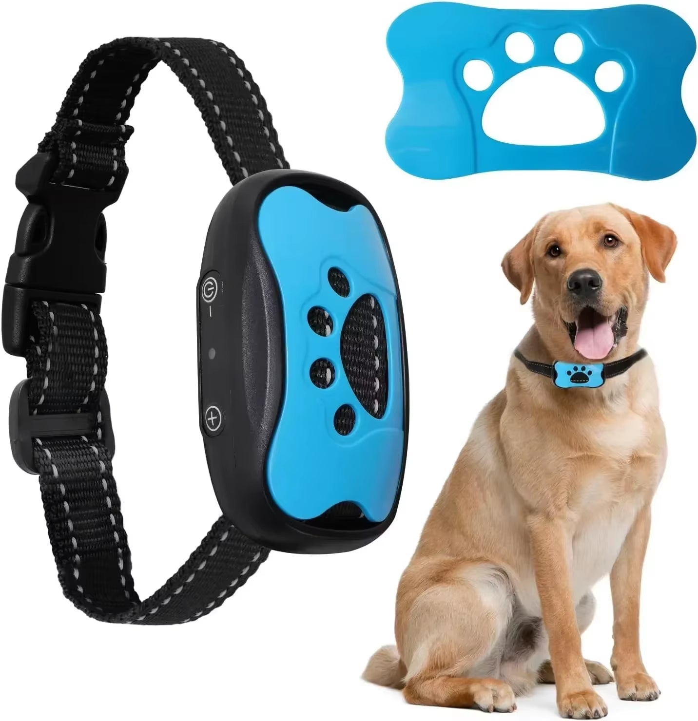 Smart-Pet-Essentials-Innovative-amp-High-Tech-Pet-Products-for-Modern-Pet-Owners wag-spire