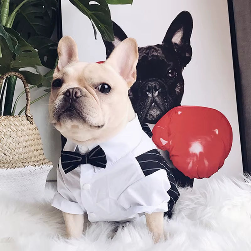 🐾 Elegant Dog Tuxedo Suit – Formal Wedding & Party Outfit for Small & Medium Dogs
