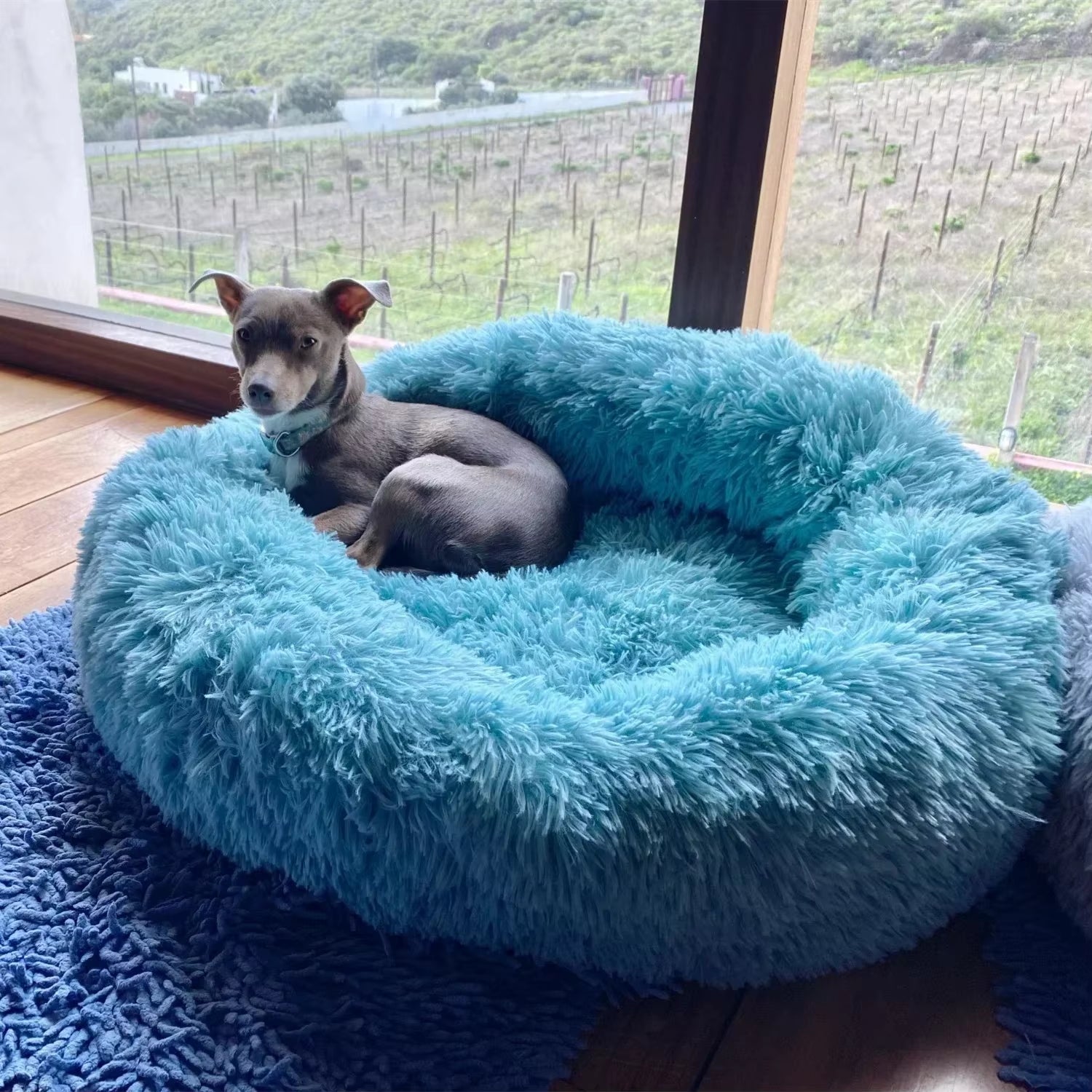 🐾 Luxury Plush Round Dog Bed & Cat Mat – Premium Cushion for Large Dogs & Labradors