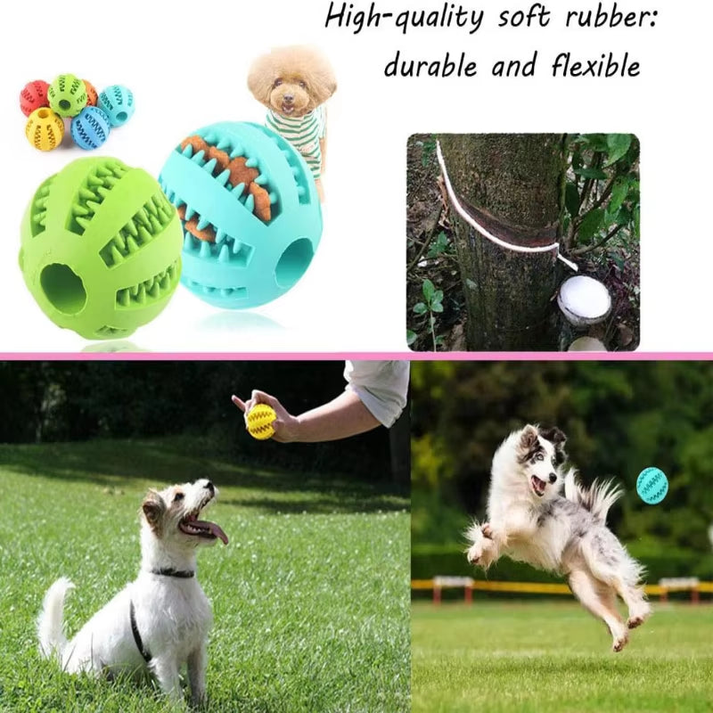 Interactive Rubber Dog Toy Ball – Chew, Treat, & Tooth Cleaning Fun! 🐶🎾