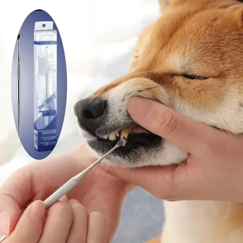 🐾 Stainless Steel Pet Dental Cleaning Tool – Tartar Remover & Breath Freshener for Dogs & Cats