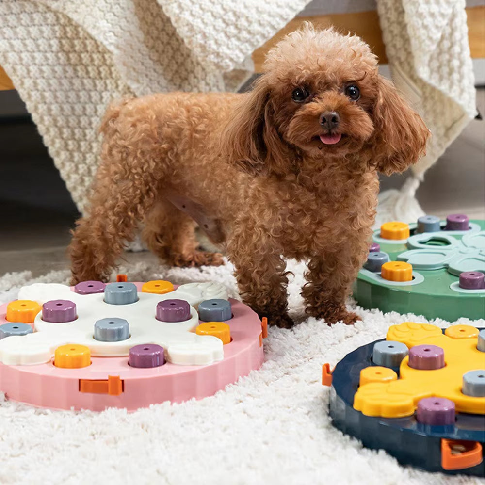 🐾 Interactive Cat Puzzle Toy & Slow Feeder – Non-Slip Training Bowl for Cats & Dogs