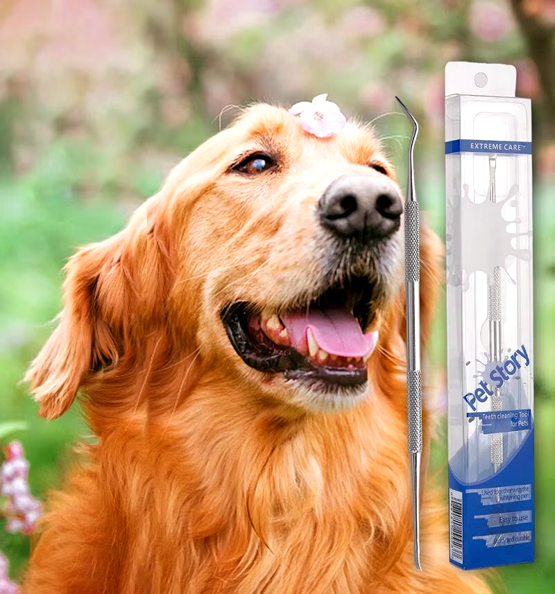 🐾 Stainless Steel Pet Dental Cleaning Tool – Tartar Remover & Breath Freshener for Dogs & Cats