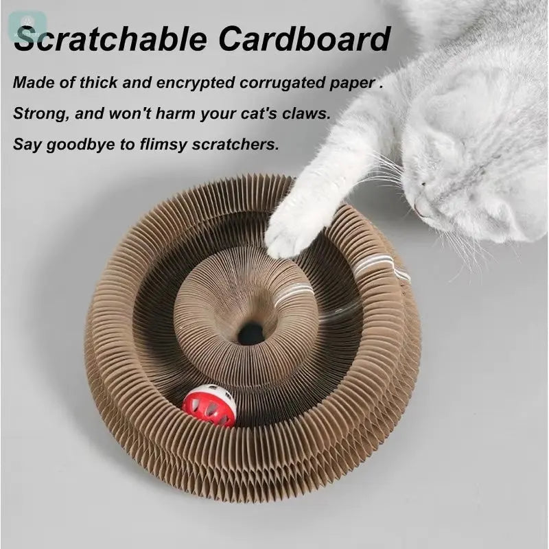 🐱 Creative Cat Scratching Board – Magic Organ Foldable Claw Grinder & Interactive Play Toy!