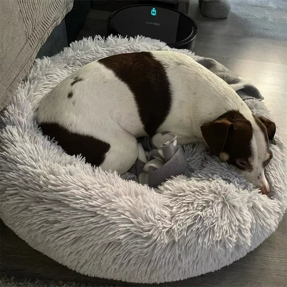 🐾 Luxury Plush Round Dog Bed & Cat Mat – Premium Cushion for Large Dogs & Labradors