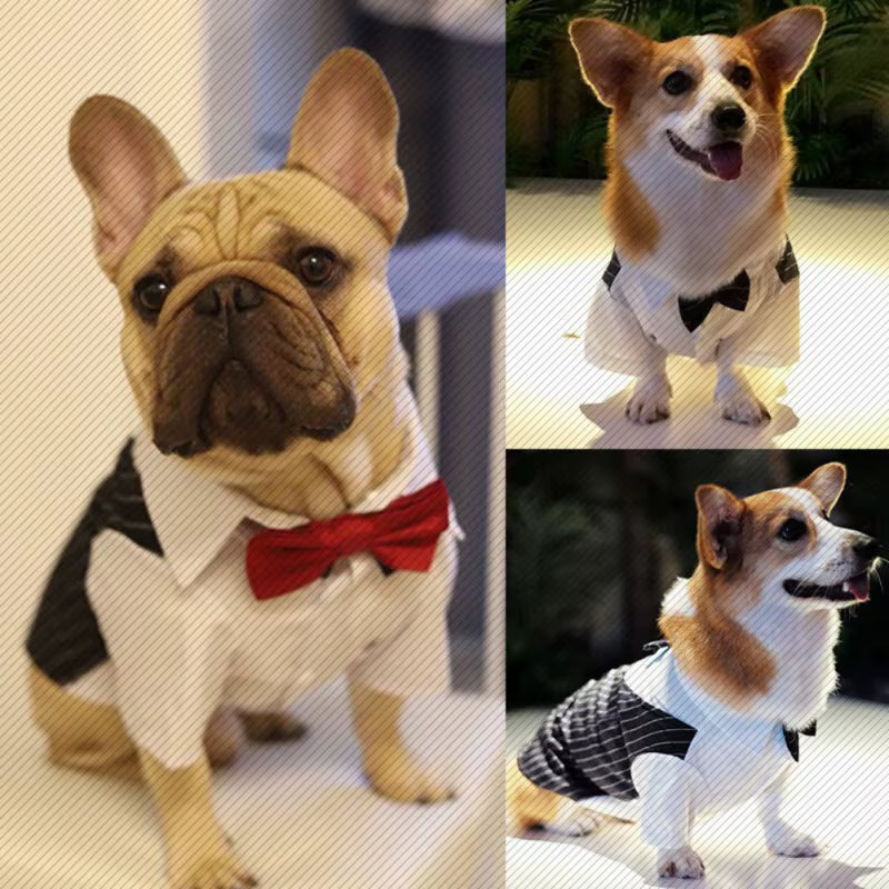 🐾 Elegant Dog Tuxedo Suit – Formal Wedding & Party Outfit for Small & Medium Dogs